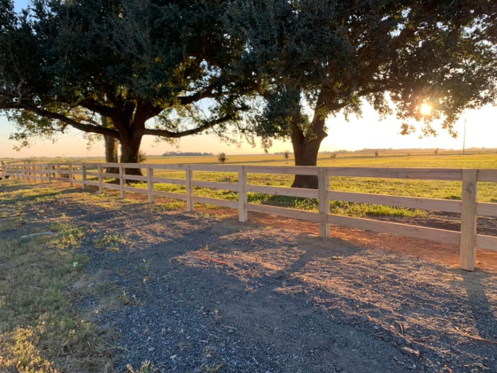 Fence Company Expert